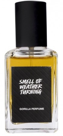 The Smell of Weather Turning (parfyme)