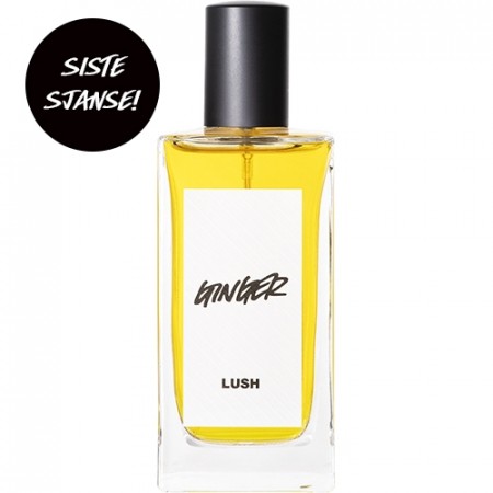 Ginger 30ml (parfyme)