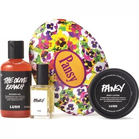 Pansy (gave)